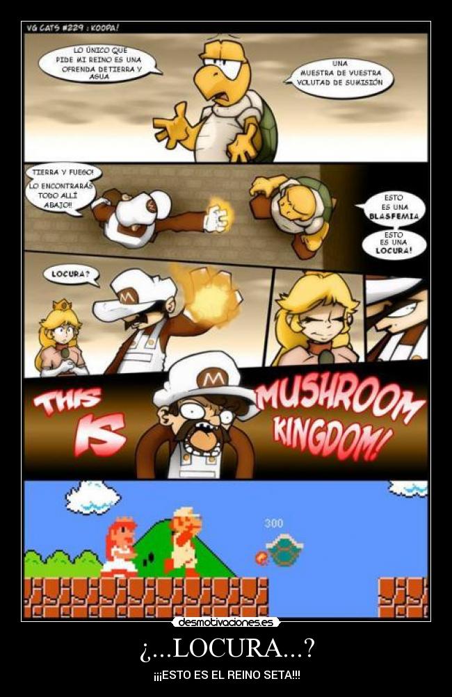 ¿...LOCURA...? - ¡¡¡ESTO ES EL REINO SETA!!!