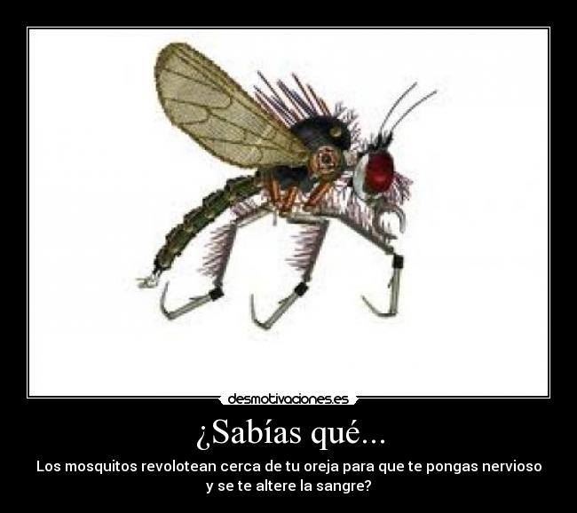 ¿Sabías qué... - Los mosquitos revolotean cerca de tu oreja para que te pongas nervioso
y se te altere la sangre?