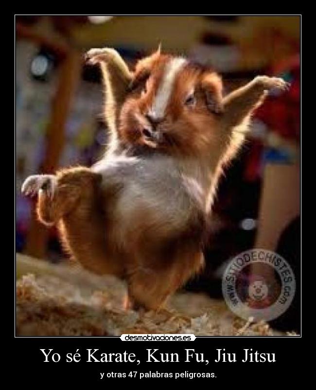 Yo sé Karate, Kun Fu, Jiu Jitsu -