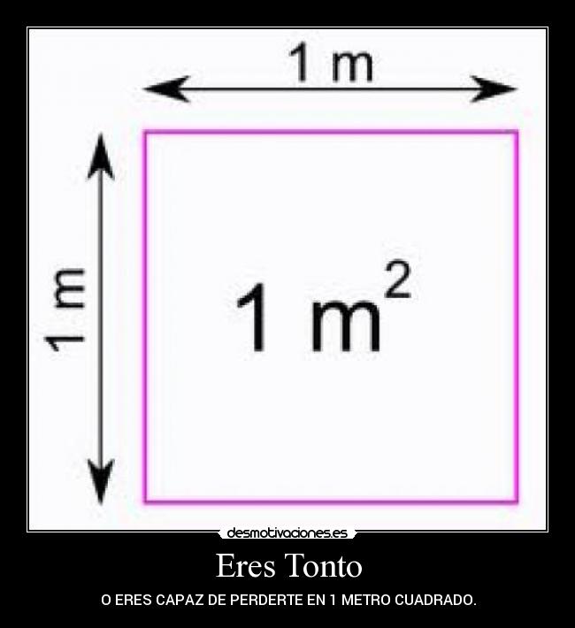 Eres Tonto -