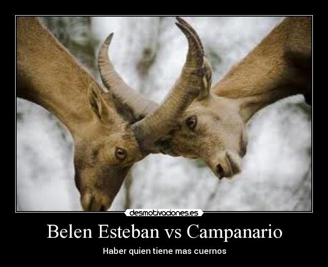 Belen Esteban vs Campanario - Haber quien tiene mas cuernos