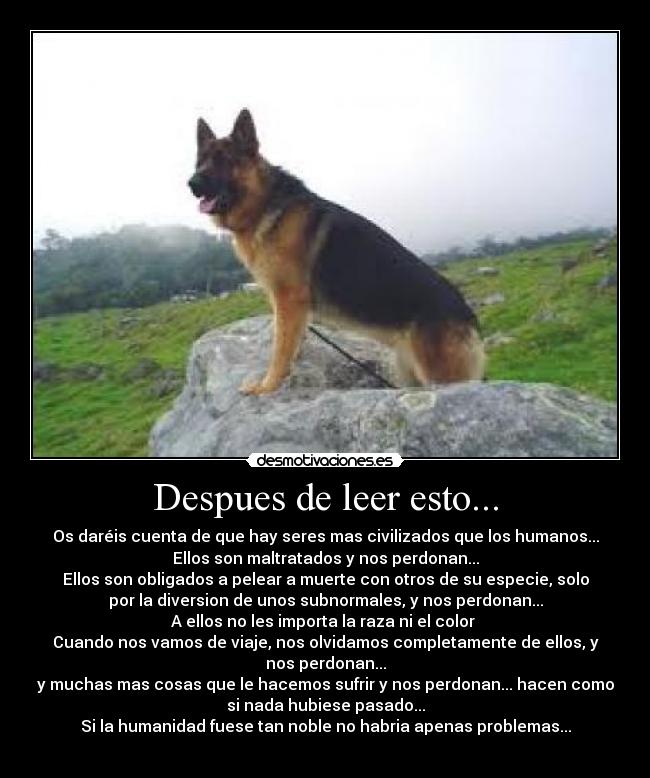 Despues de leer esto... -