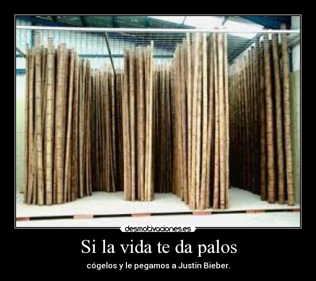 Si la vida te da palos - 