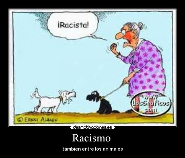 Racismo -