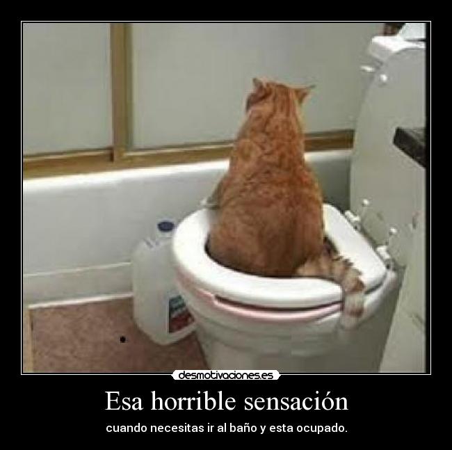 Esa horrible sensación -