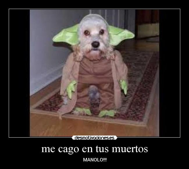 me cago en tus muertos - MANOLO!!!