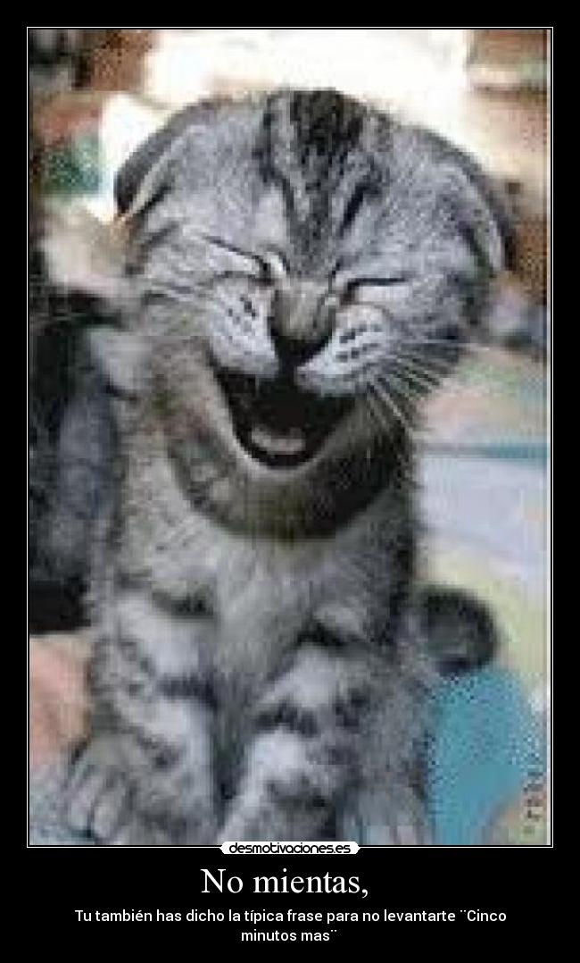 No mientas,  - 