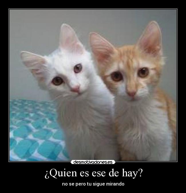 ¿Quien es ese de hay? - 