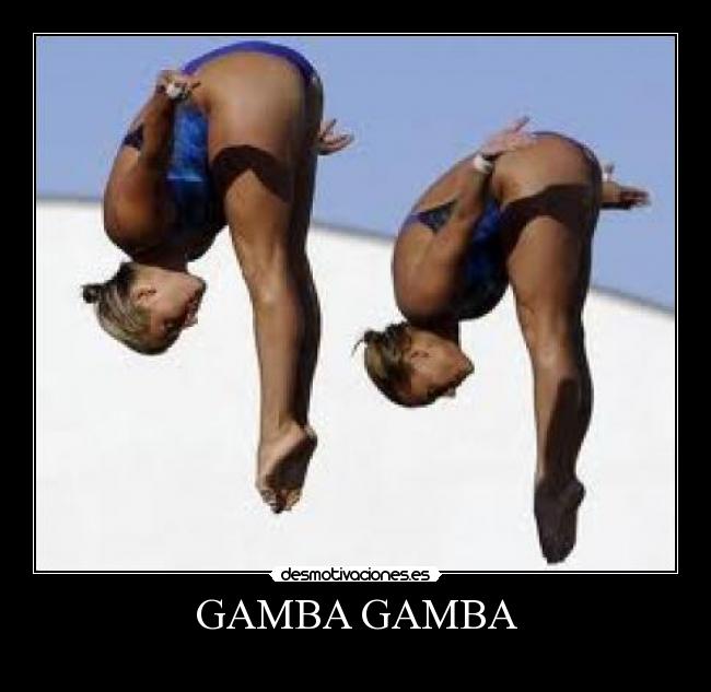 GAMBA GAMBA - 