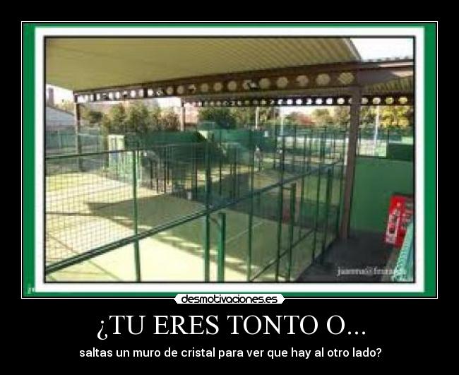 ¿TU ERES TONTO O... - saltas un muro de cristal para ver que hay al otro lado?