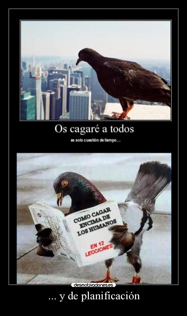 ... y de planificación - 