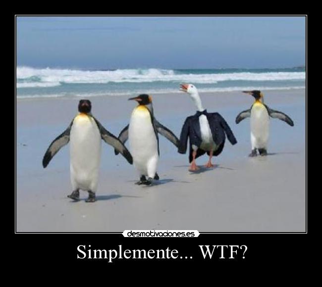 Simplemente... WTF? -  