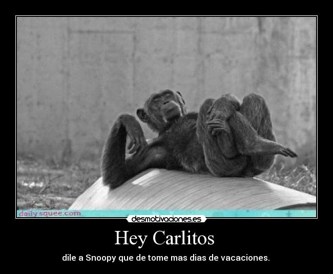 carteles hey carlitos desmotivaciones