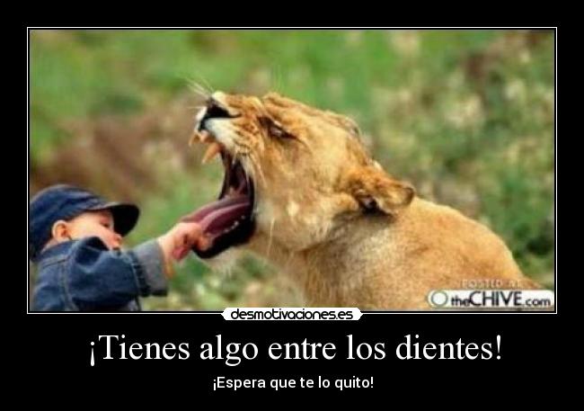 ¡Tienes algo entre los dientes! - 