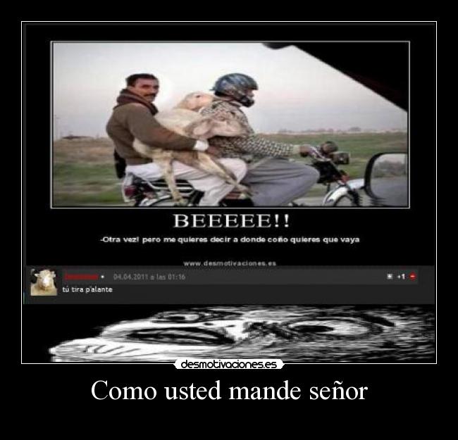 Como usted mande señor - 