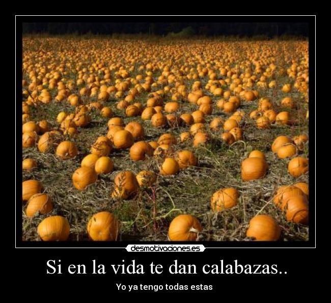 Si en la vida te dan calabazas.. - Yo ya tengo todas estas 