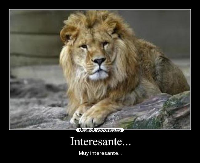 Interesante... - Muy interesante...