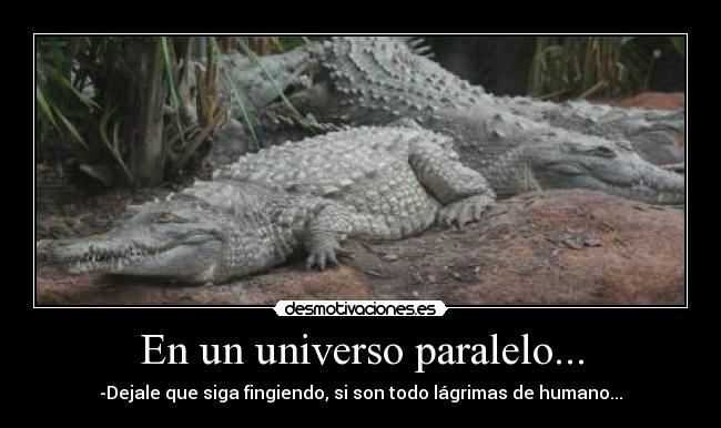 En un universo paralelo... - 