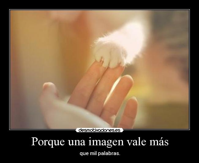 Porque una imagen vale más - que mil palabras.