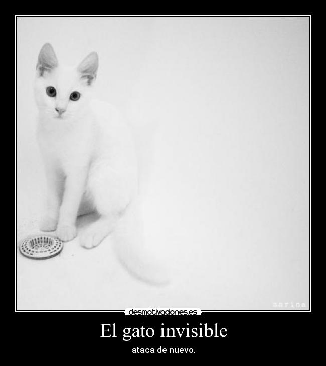 El gato invisible - ataca de nuevo.