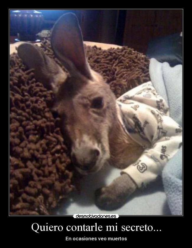 Quiero contarle mi secreto... - 