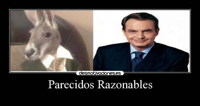 Parecidos Razonables - 