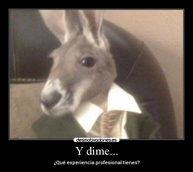 Y dime... - ¿Qué experiencia profesional tienes?