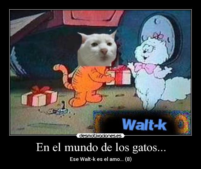 En el mundo de los gatos... - Ese Walt-k es el amo... (8)