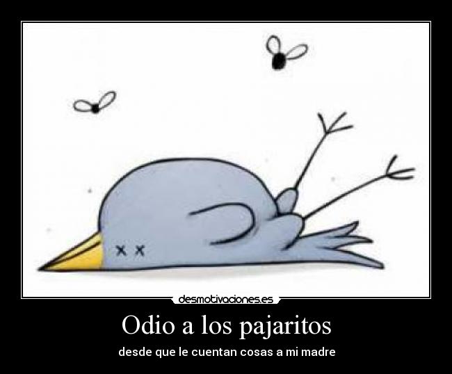 Odio a los pajaritos - desde que le cuentan cosas a mi madre