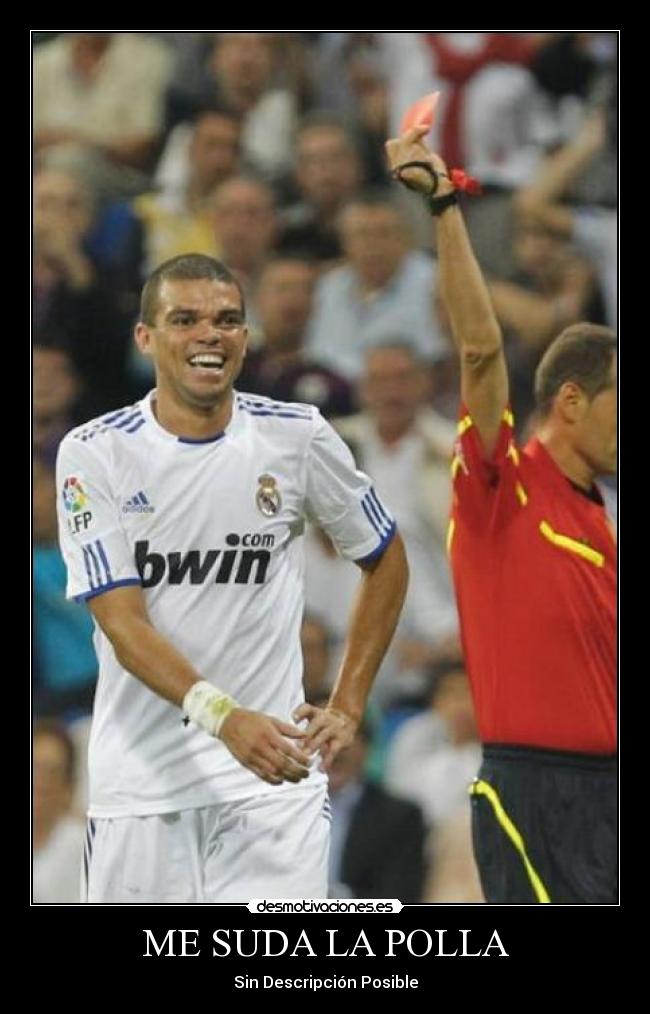 ME SUDA LA POLLA -