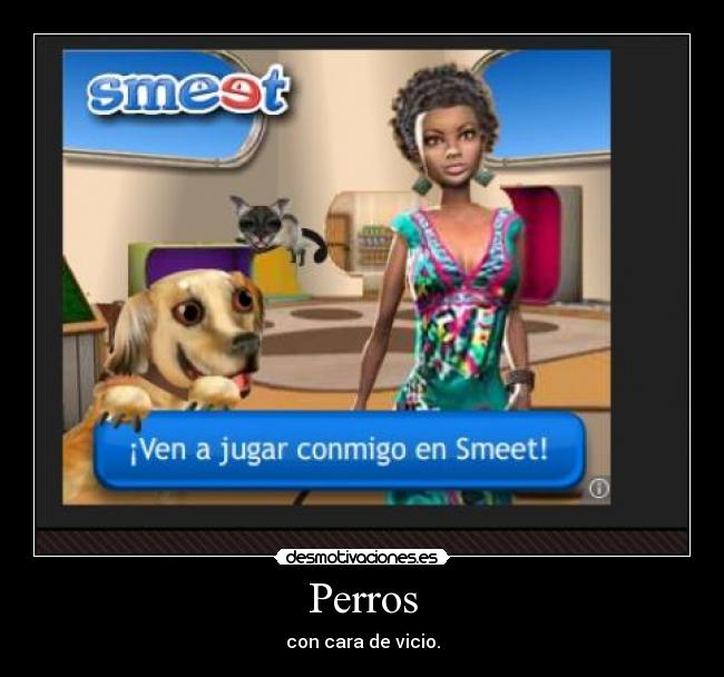 Perros -