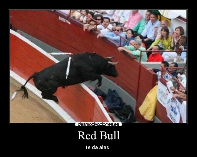 Red Bull - 