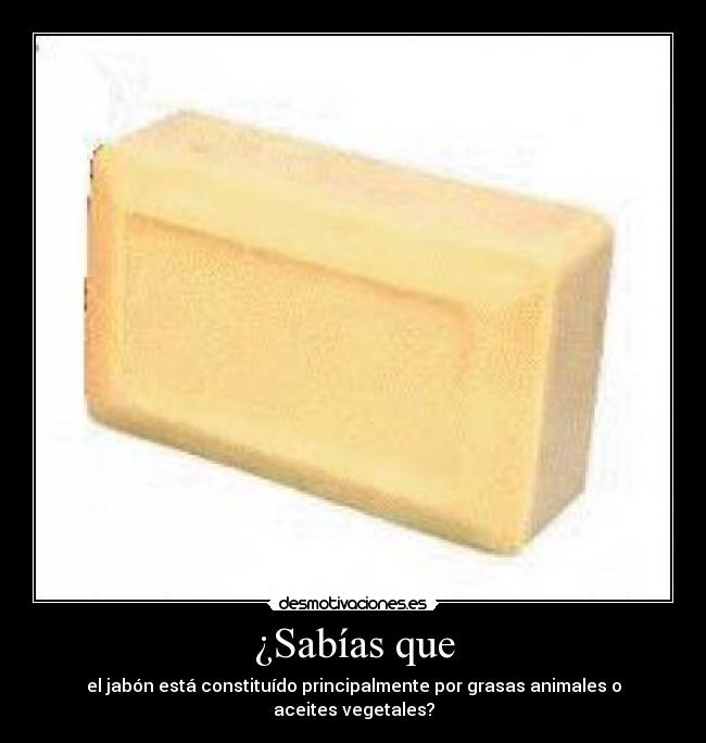 ¿Sabías que - el jabón está constituído principalmente por grasas animales o aceites vegetales?