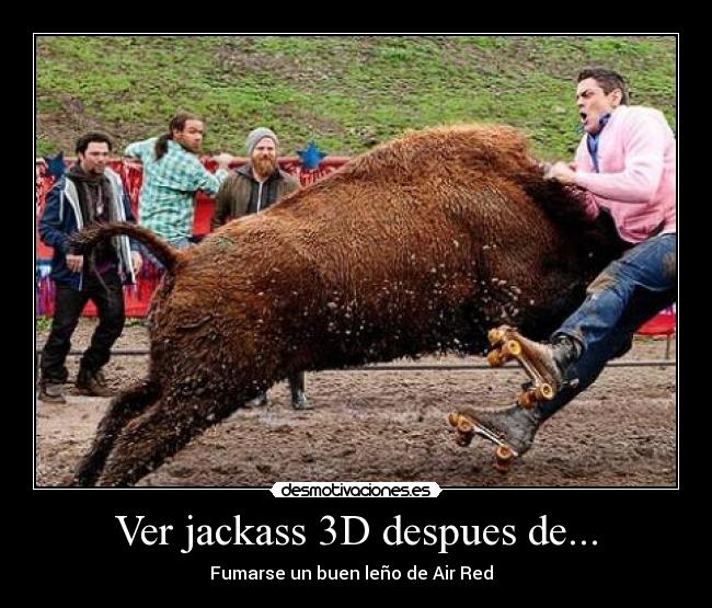 Ver jackass 3D despues de... -
