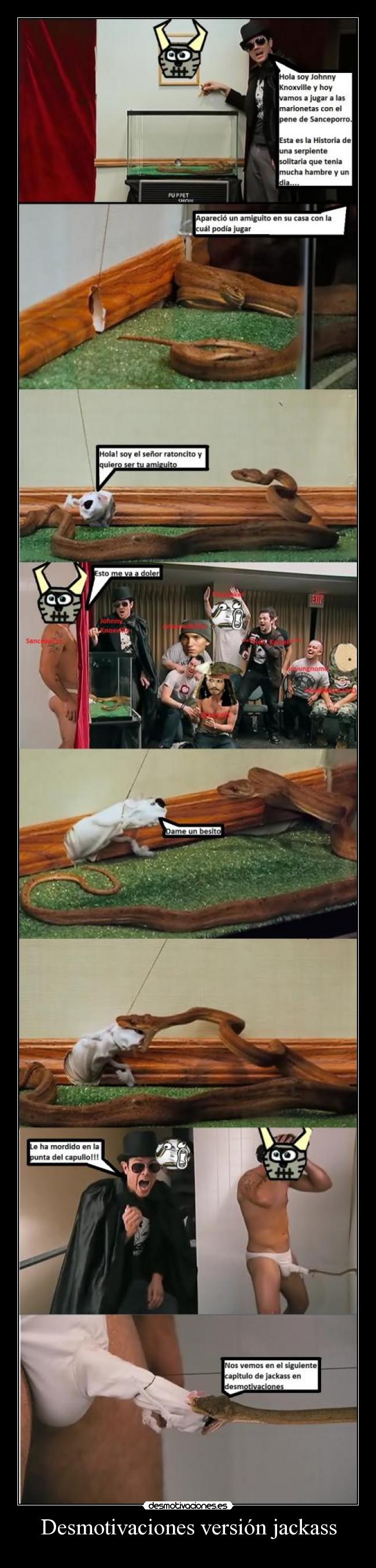 Desmotivaciones versión jackass - 