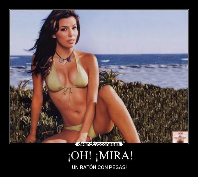 ¡OH! ¡MIRA! - UN RATÓN CON PESAS!