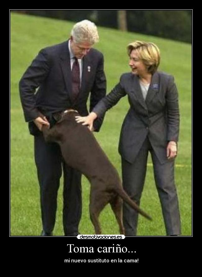 Toma cariño... - mi nuevo sustituto en la cama!