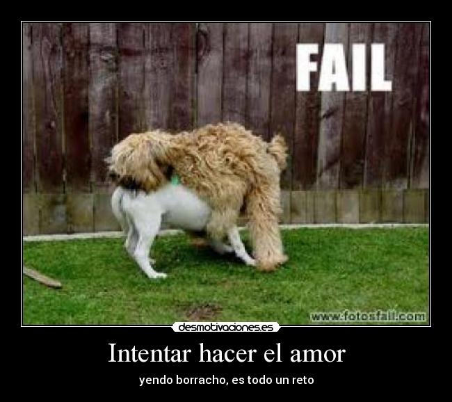 Intentar hacer el amor - yendo borracho, es todo un reto