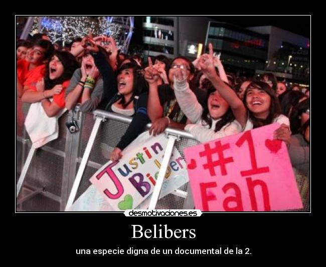 Belibers - 