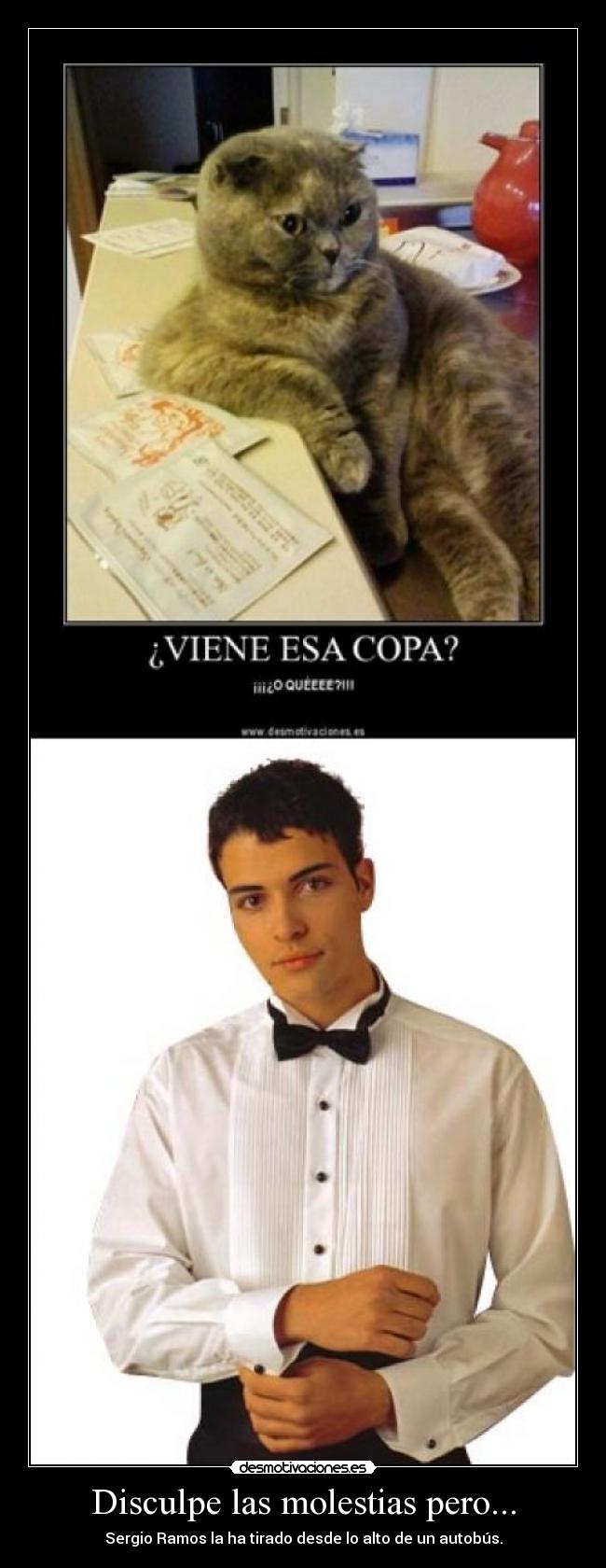 Disculpe las molestias pero... -