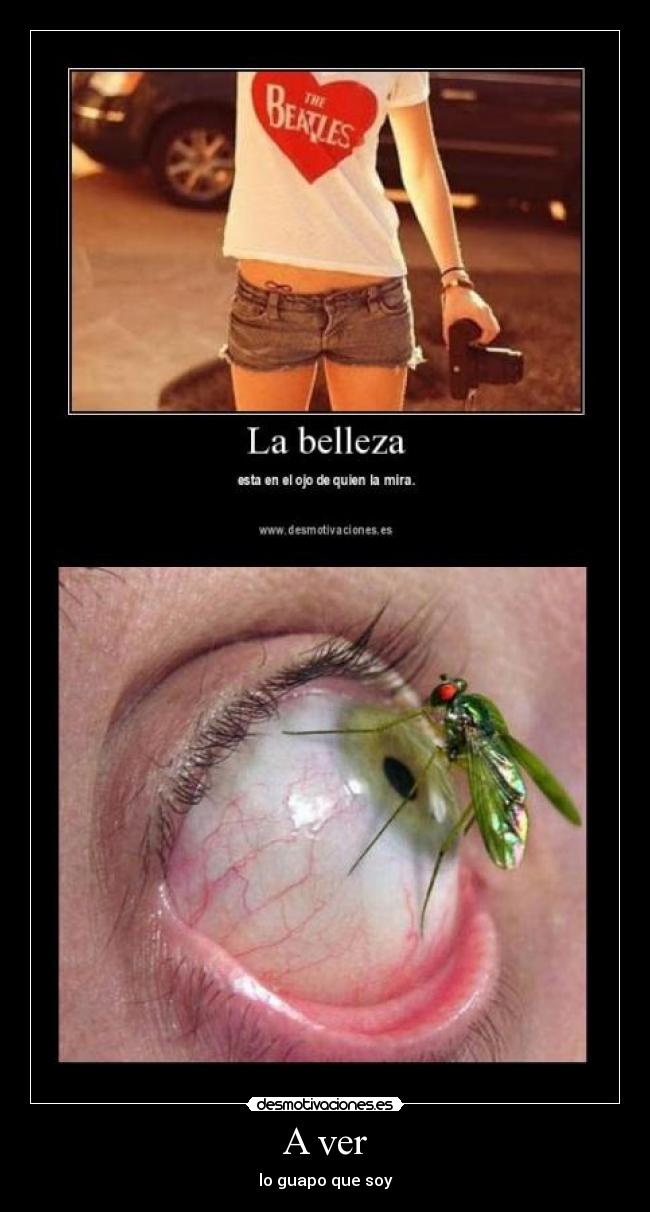 A ver - lo guapo que soy
