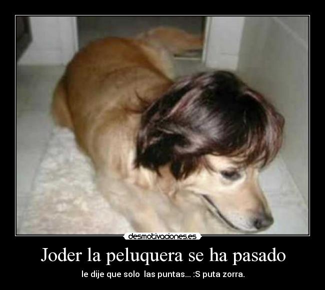 Joder la peluquera se ha pasado - le dije que solo las puntas... :S puta zorra.