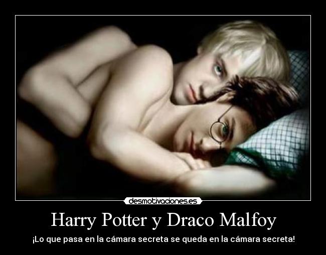 Harry Potter y Draco Malfoy -