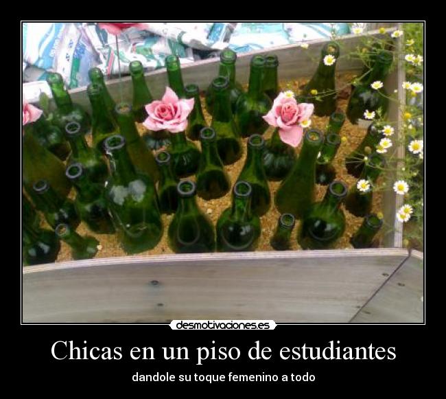 Chicas en un piso de estudiantes -