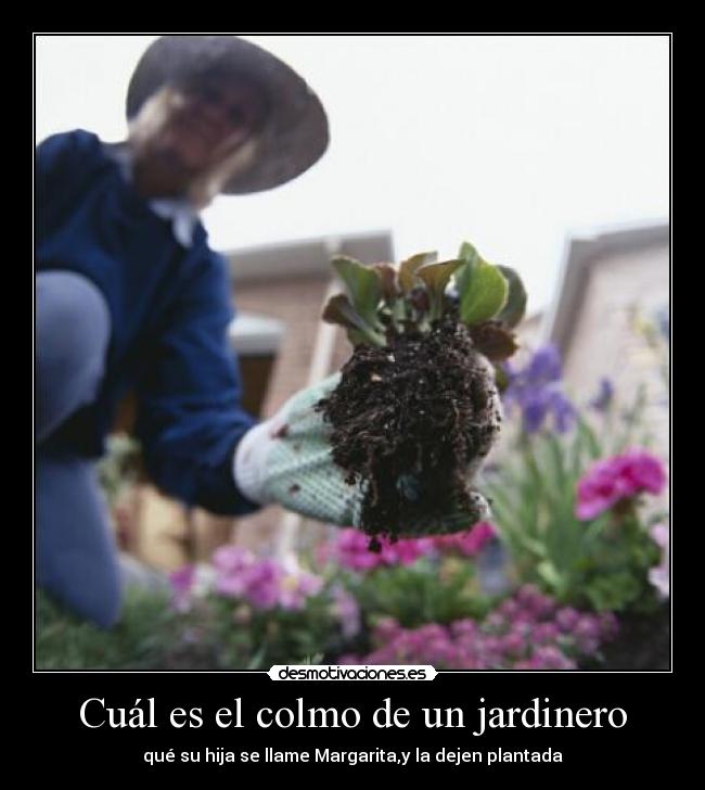 Cuál es el colmo de un jardinero - qué su hija se llame Margarita,y la dejen plantada