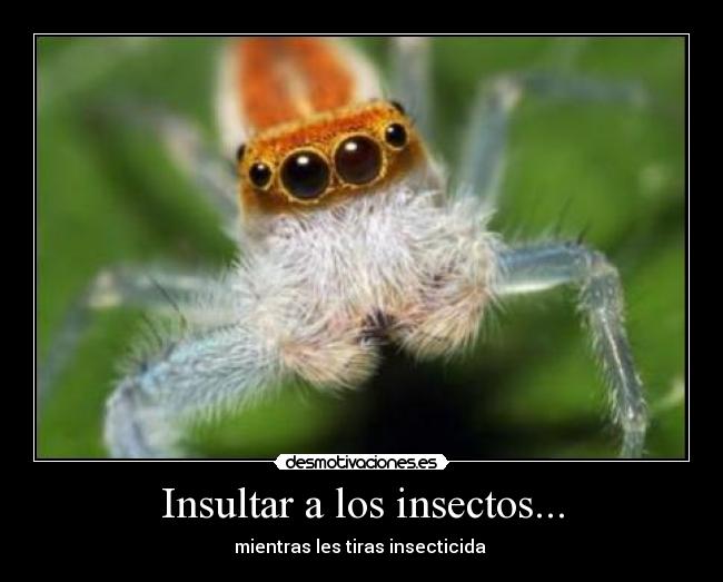 Insultar a los insectos... -