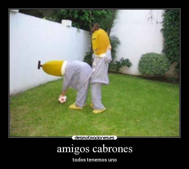 amigos cabrones - todos tenemos uno