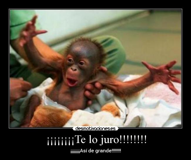 ¡¡¡¡¡¡¡¡Te lo juro!!!!!!!! -