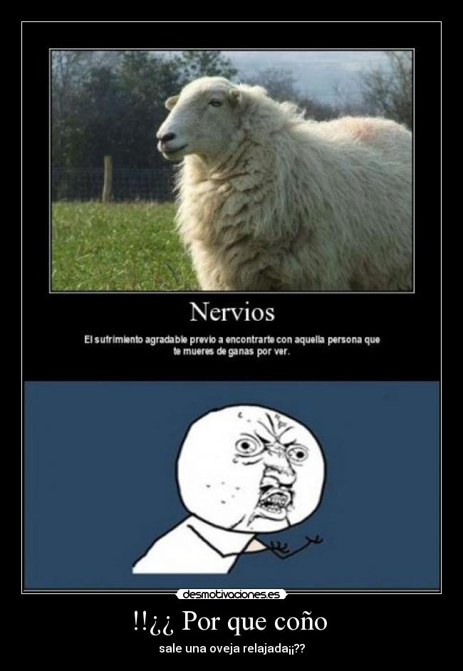 !!¿¿ Por que coño - sale una oveja relajada¡¡??