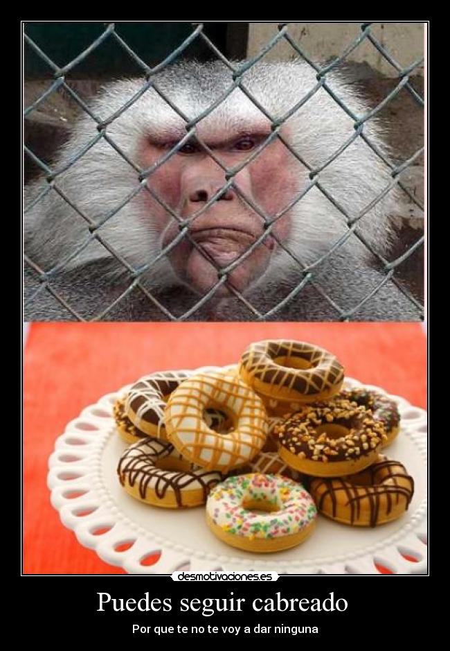 Puedes seguir cabreado  - Por que te no te voy a dar ninguna